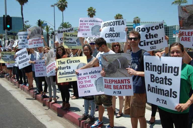 PETA And The End Of The Ringling Bros Circus