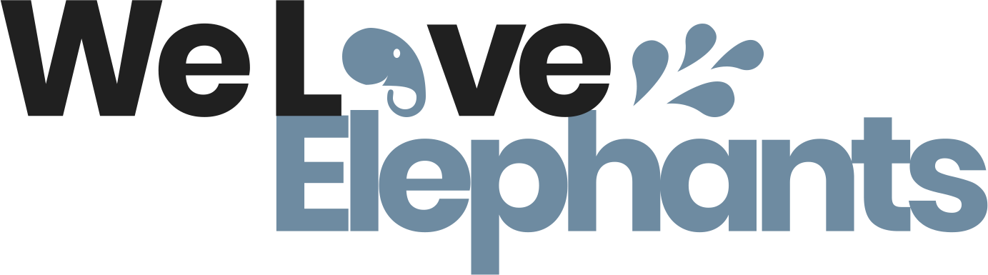 We Love Elephants Blog
