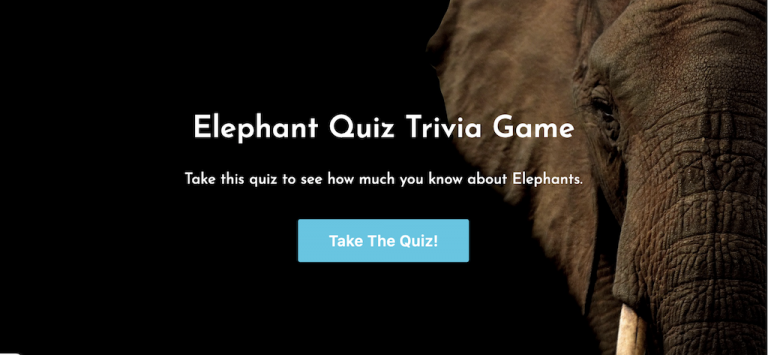 Elephant Quiz Trivia Game