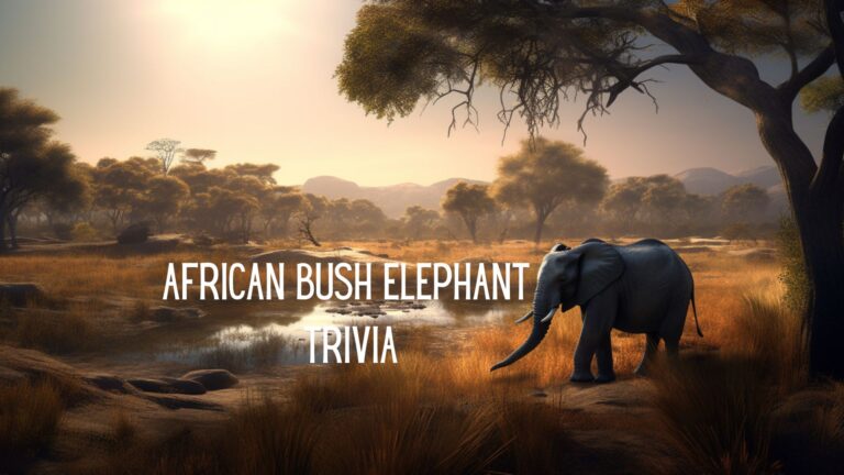 The African Bush Elephant Quiz: A Journey Through the Wild