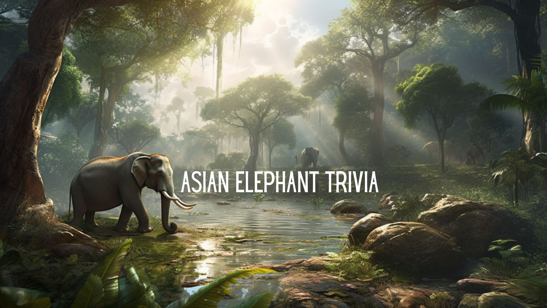Elephant Trivia Questions & Answers