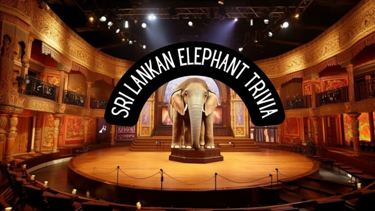 Sri Lankan Elephant Trivia Expedition: Discover the Island’s Majestic Mammal