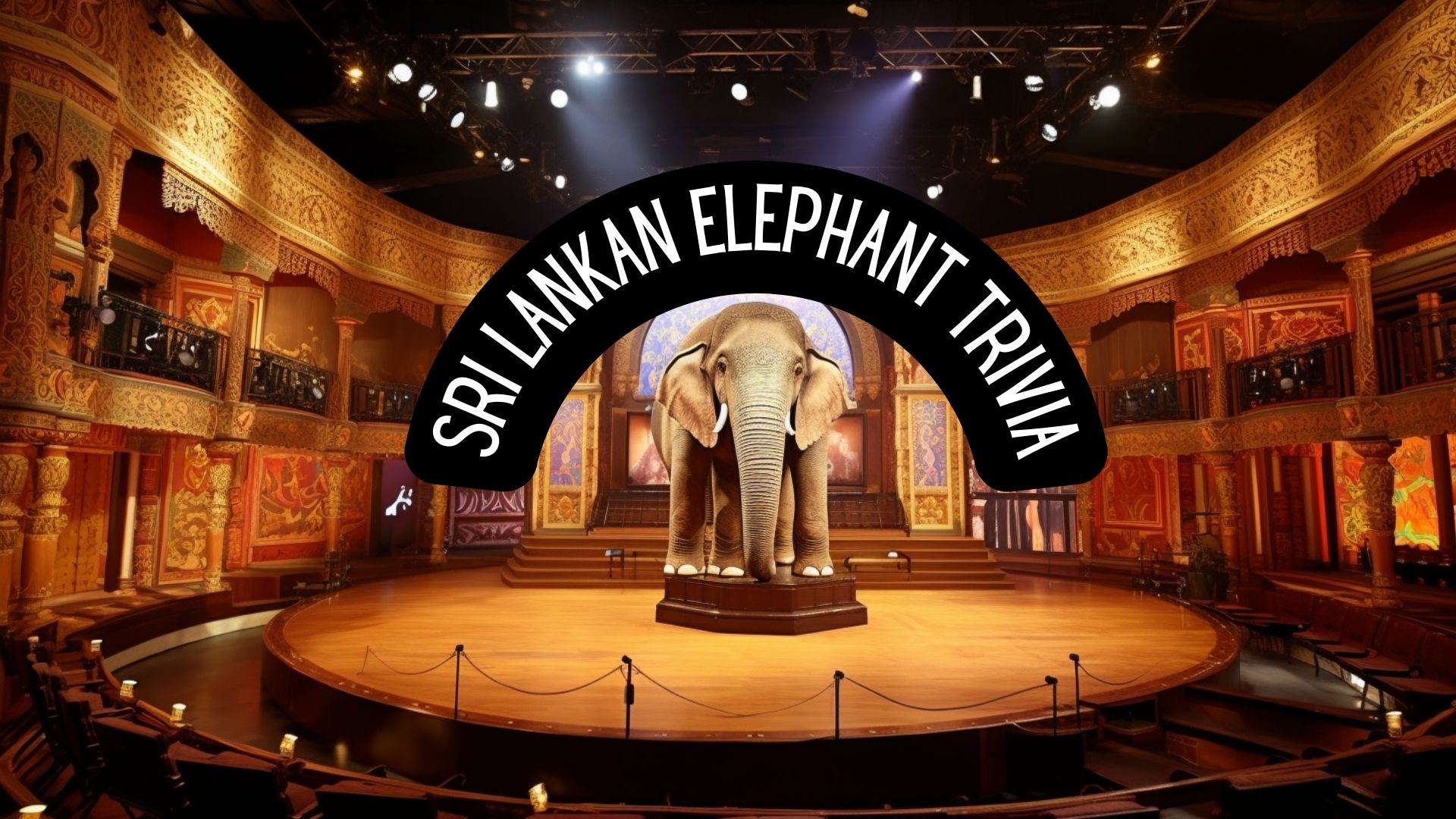 Elephant Trivia Game